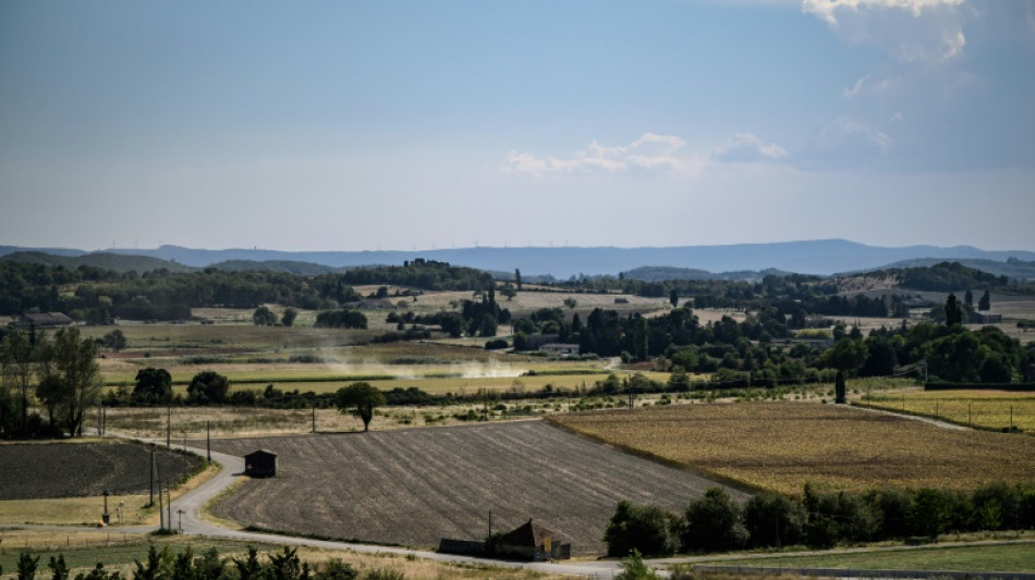 Des agriculteurs misent sur l'habitat l&eacute;ger pour s'installer, non sans mal