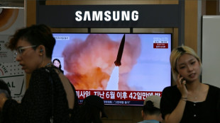 North Korea fires ballistic missile: South Korea military