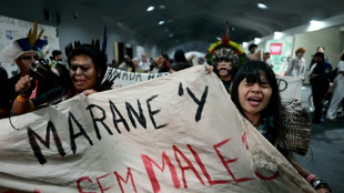 En Amazonie, le monde adopte un accord a minima sur la coop&eacute;ration pour le climat