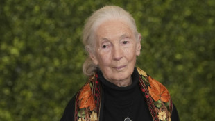Muere la reconocida et&oacute;loga Jane Goodall a los 91 a&ntilde;os
