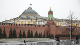 Cremlino, 'diremo chi sarà a Istanbul quando Putin decide'