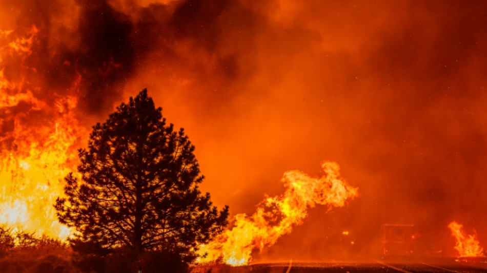 Tausende Menschen bei gro&szlig;em Waldbrand in Kalifornien evakuiert