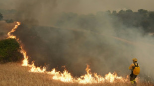 Quase 270.000 deslocados por inc&ecirc;ndios que assolam Espanha e Fran&ccedil;a