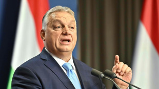 Alentado por las medidas de Trump, Orban quiere "borrar del mapa" a las ONG de Hungría