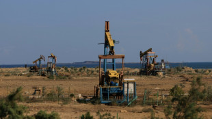 'Vanity project': a climate summit in oil-rich Azerbaijan