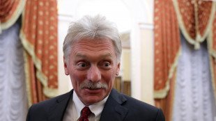 Cremlino, sulla tregua energetica contatti in corso, per ora nulla da dire