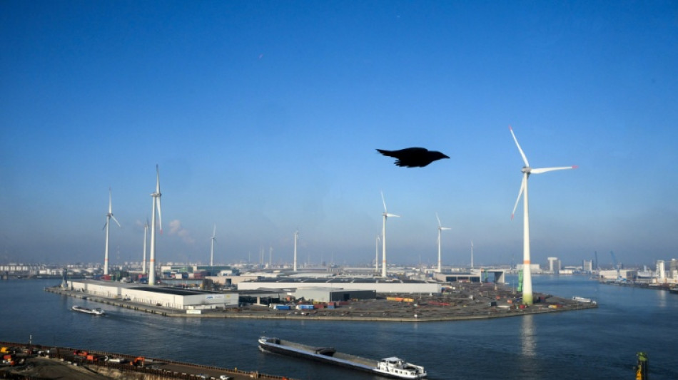 What to expect as EU small parcel levy kicks in 