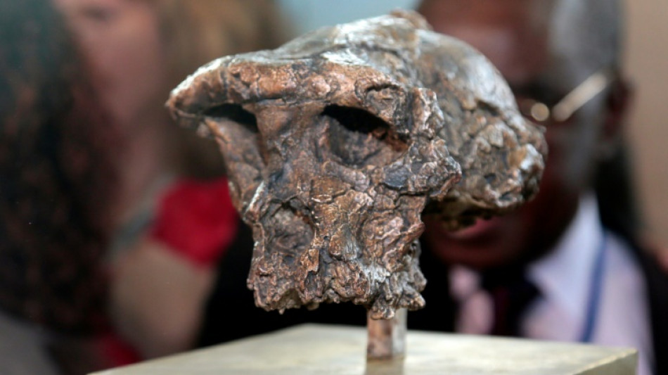 Touma&iuml; marchait bien il y a 7 millions d'ann&eacute;es, mais pas seulement