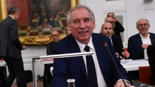 Entre la crise &agrave; Mayotte et Pau, Bayrou consulte et compose son gouvernement