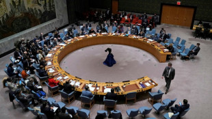 Rusia, aislada en el Consejo de Seguridad, veta condena de "agresi&oacute;n" a Ucrania