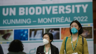 China set to offer compromise to save summit nature accord