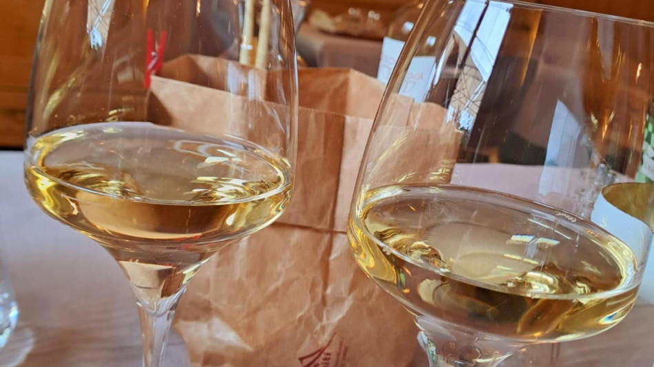 Uiv, allarme vino in cantina +7,3% le giacenze in un anno