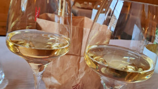 Uiv, allarme vino in cantina +7,3% le giacenze in un anno