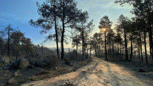 Espa&ntilde;a autoriza el regreso de parte de los evacuados por el incendio en Madrid