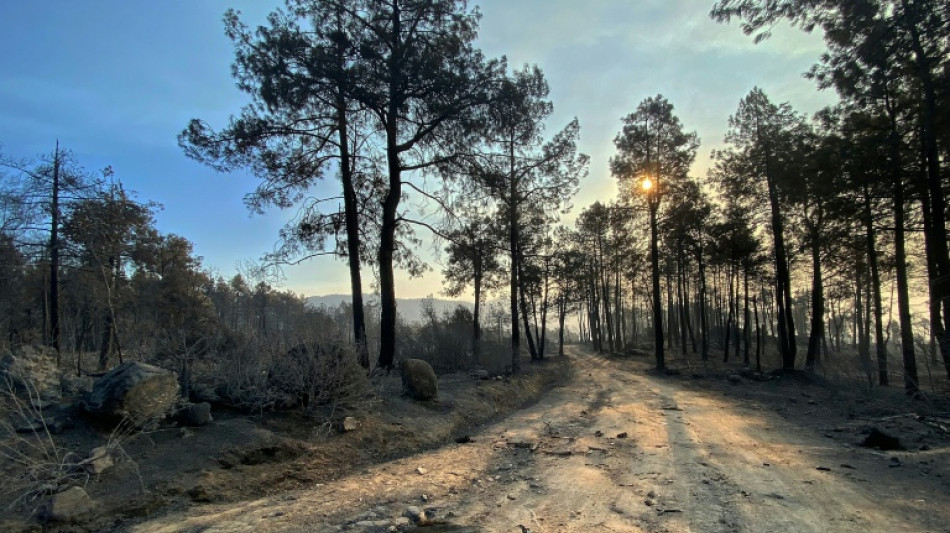Espa&ntilde;a enfrenta d&iacute;as clave para frenar los incendios cerca de Madrid