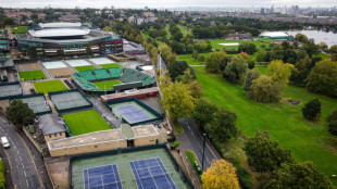 Court battle plays out over Wimbledon tennis expansion plan