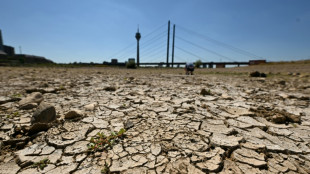 Rhein-Niedrigwasser errreicht in K&ouml;ln neuen Tiefststand