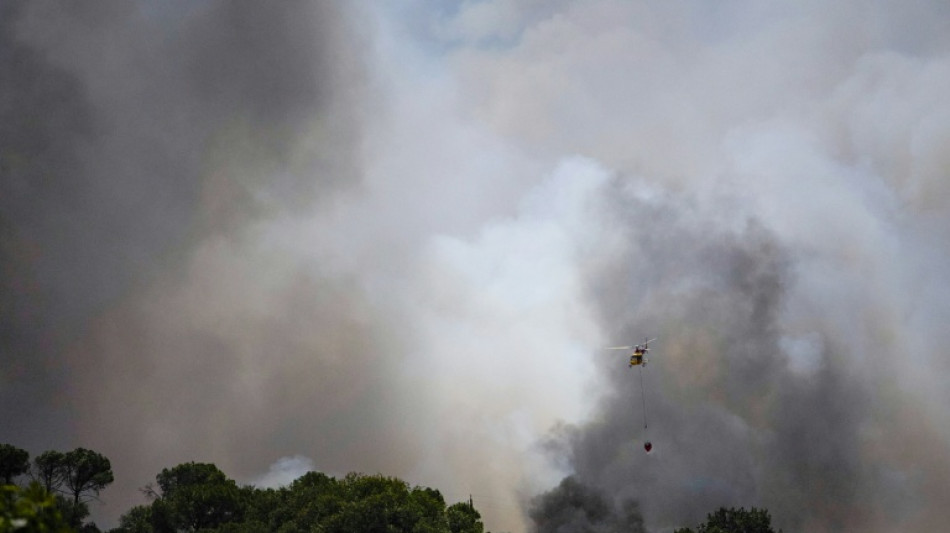 Au moins 11 morts pris au pi&egrave;ge dans un feu de for&ecirc;t dans le sud de l'Espagne