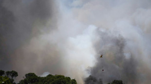 Au moins 11 morts pris au pi&egrave;ge dans un feu de for&ecirc;t dans le sud de l'Espagne