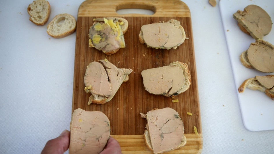 Brasil pro&iacute;be produ&ccedil;&atilde;o e venda de foie gras