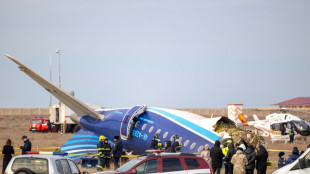 Bericht: In Kasachstan abgest&uuml;rztes Flugzeug durch "externe Objekte" besch&auml;digt