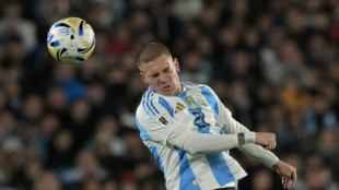 Argentina jugar&aacute; amistosos contra Venezuela y Puerto Rico en octubre