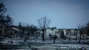 Primeiro-ministro franc&ecirc;s anuncia ajuda a afetados por inc&ecirc;ndio