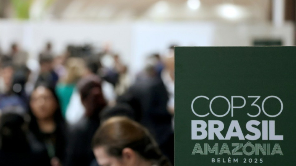 Brasil pressiona na COP com rascunho de acordo; Lula retornar&aacute; a Bel&eacute;m
