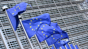 Objectifs climatiques: l'Europe sous pression avant la COP au Br&eacute;sil