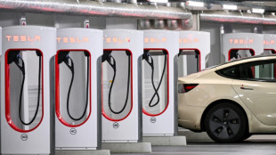 Massive Stromausf&auml;lle nach mutma&szlig;lichem Anschlag in Brandenburg: Auch Tesla betroffen