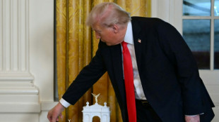 Trump-Regierung stellt Pl&auml;ne f&uuml;r 76 Meter hohen Triumphbogen in Washington vor