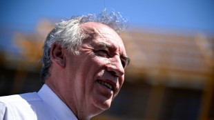 Pour 2025, Bayrou pr&ocirc;ne "r&eacute;conciliation, action et stabilit&eacute;"
