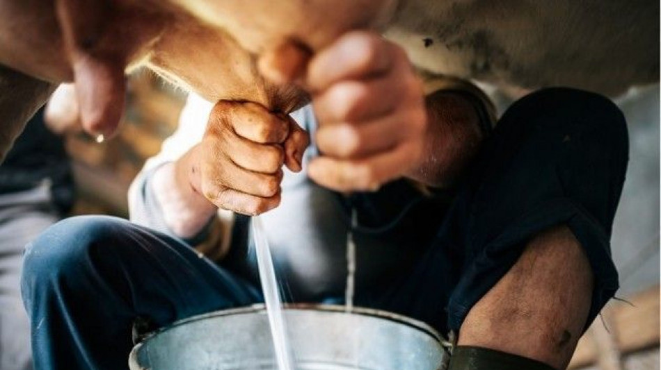 Centrale del Latte d'Italia, utile netto 2025 4,6 milioni di euro (+5,2%)