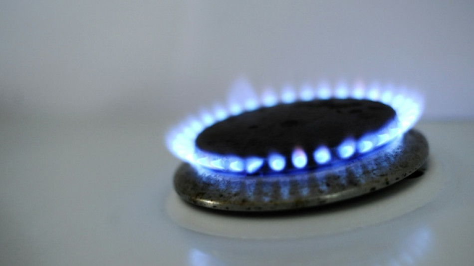 Approvisionnement en gaz: la France mieux arm&eacute;e pour affronter l'hiver