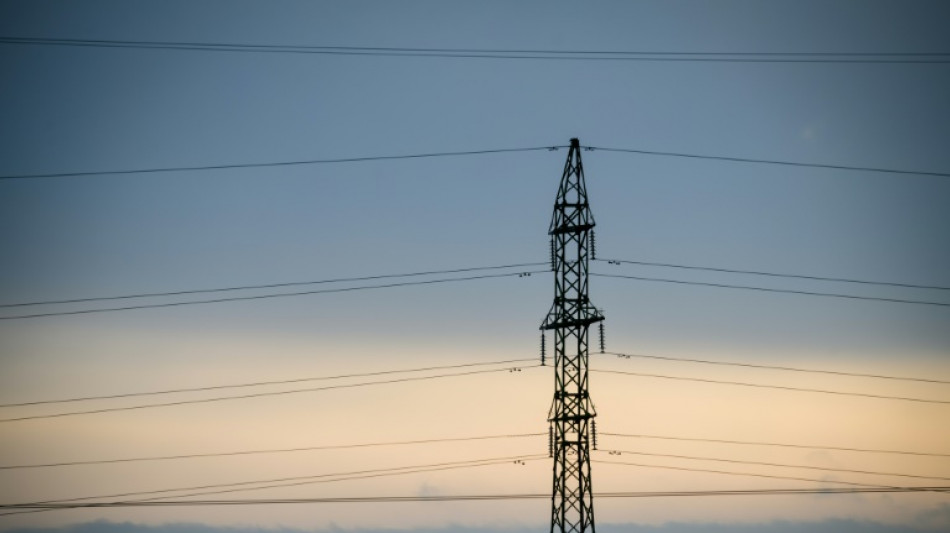 Los países bálticos se desconectan de la red eléctrica rusa para evitar "chantajes"