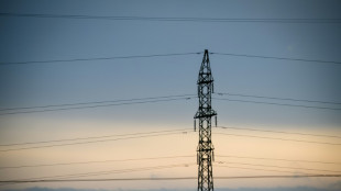 Los países bálticos se desconectan de la red eléctrica rusa para evitar "chantajes"