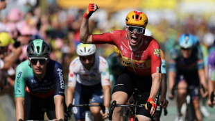 Waerenskjold wins fastest ever Tour de France stage