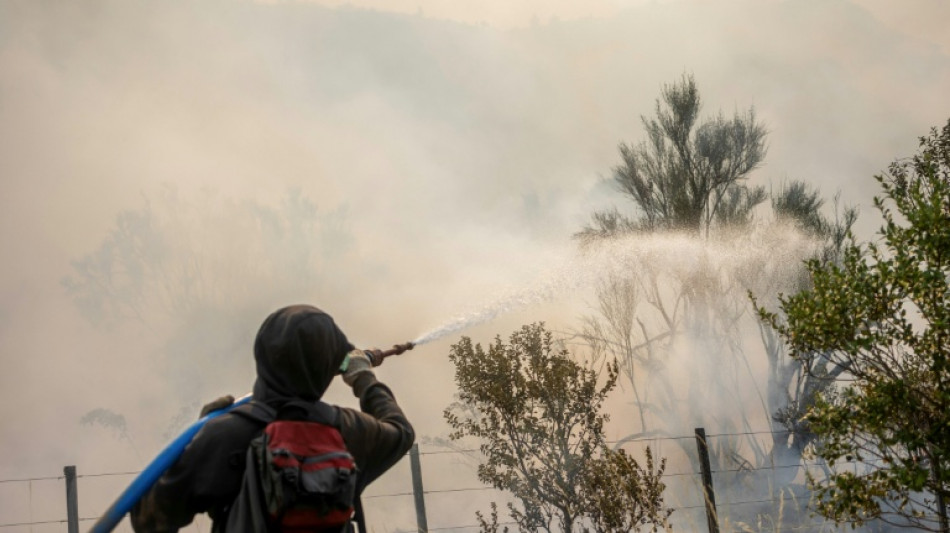 Brigadistas combaten los incendios que arrasaron 60 mil hect&aacute;reas en la Patagonia argentina
