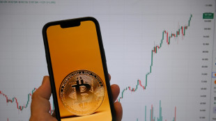 Bitcoin hits record above $109,000 awaiting Trump&nbsp;