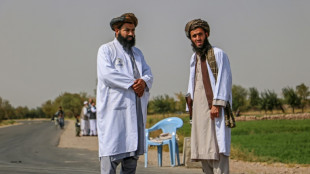 Taliban: Medien d&uuml;rfen keine Bilder von Lebewesen verbreiten