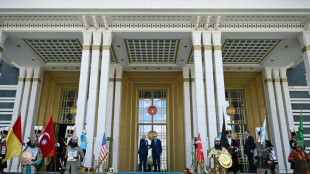 Turkish delight: Trump revels in Erdogan's lavish welcome