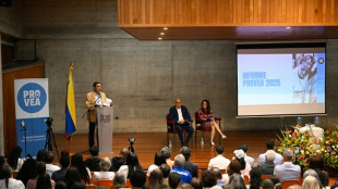 La miner&iacute;a ilegal genera una "crisis de inseguridad" en zonas ind&iacute;genas de Venezuela, denuncian activistas