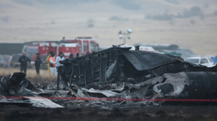 Vingt militaires turcs tu&eacute;s dans le crash d'un avion en G&eacute;orgie