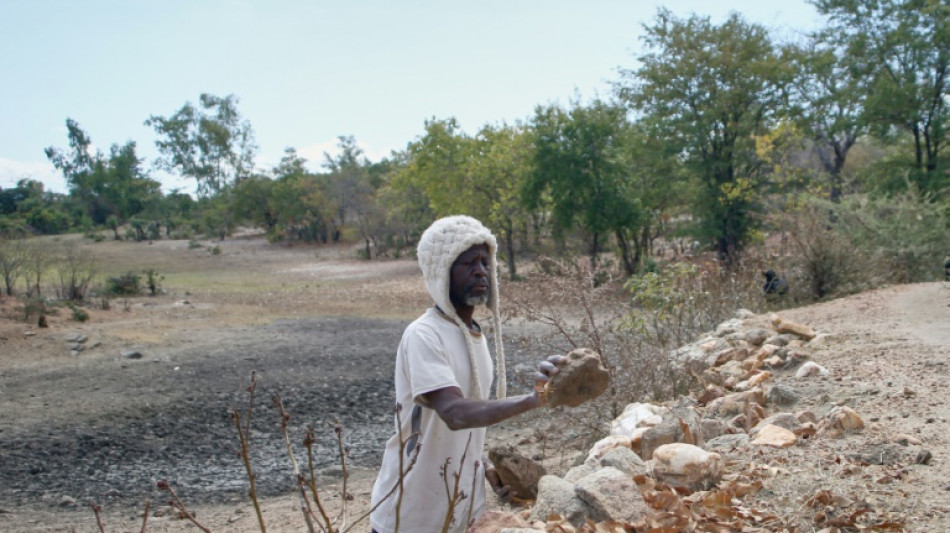 S&eacute;cheresse s&eacute;v&egrave;re au Zimbabwe: pas de r&eacute;colte, rien &agrave; manger