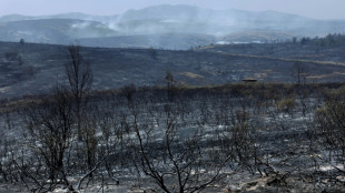 La mayor&iacute;a de los evacuados por el incendio cerca de Madrid vuelven a sus hogares