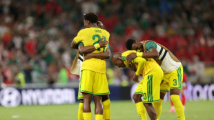 Sul-africanos v&atilde;o &agrave;s ruas para celebrar classifica&ccedil;&atilde;o hist&oacute;rica na Copa do Mundo