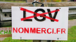 La LGV Bordeaux-Toulouse "irr&eacute;versible", assure Lecornu, les &eacute;lus locaux satisfaits mais vigilants