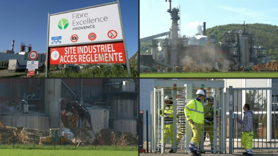 Le territoire du Comminges au chevet de l'usine Fibre Excellence menac&eacute;e de liquidation