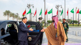 Xi stellt arabischen Golfstaaten Unterst&uuml;tzung und Energie-Importe in Aussicht