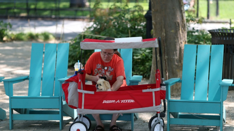 Oppressive heat broils US during World Cup, July Fourth
